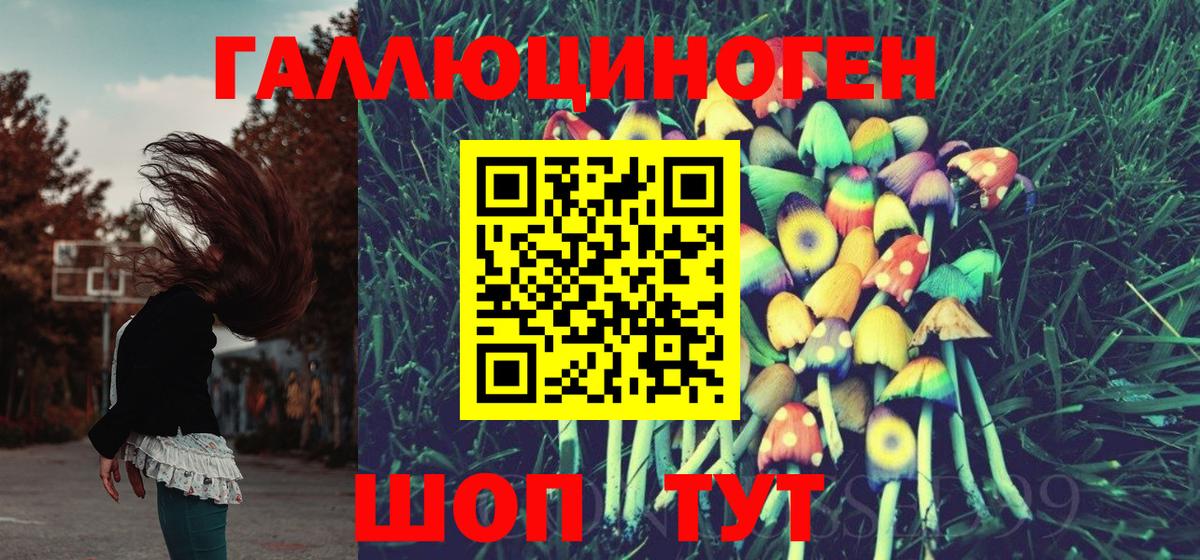 магазин  наркотиков  Вход с VPN  Томск  Галлюциногенные грибы мицелий 